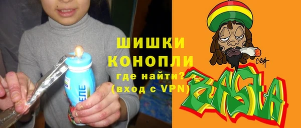 сатива Елизово