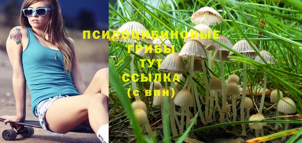 mdpv Ельня