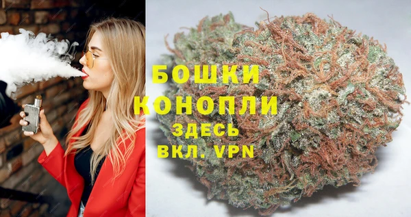 сатива Елизово