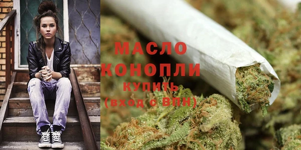 сатива Елизово