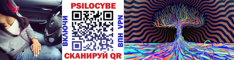 Псилоцибиновые грибы мицелий  Купить  Ветлуга 
